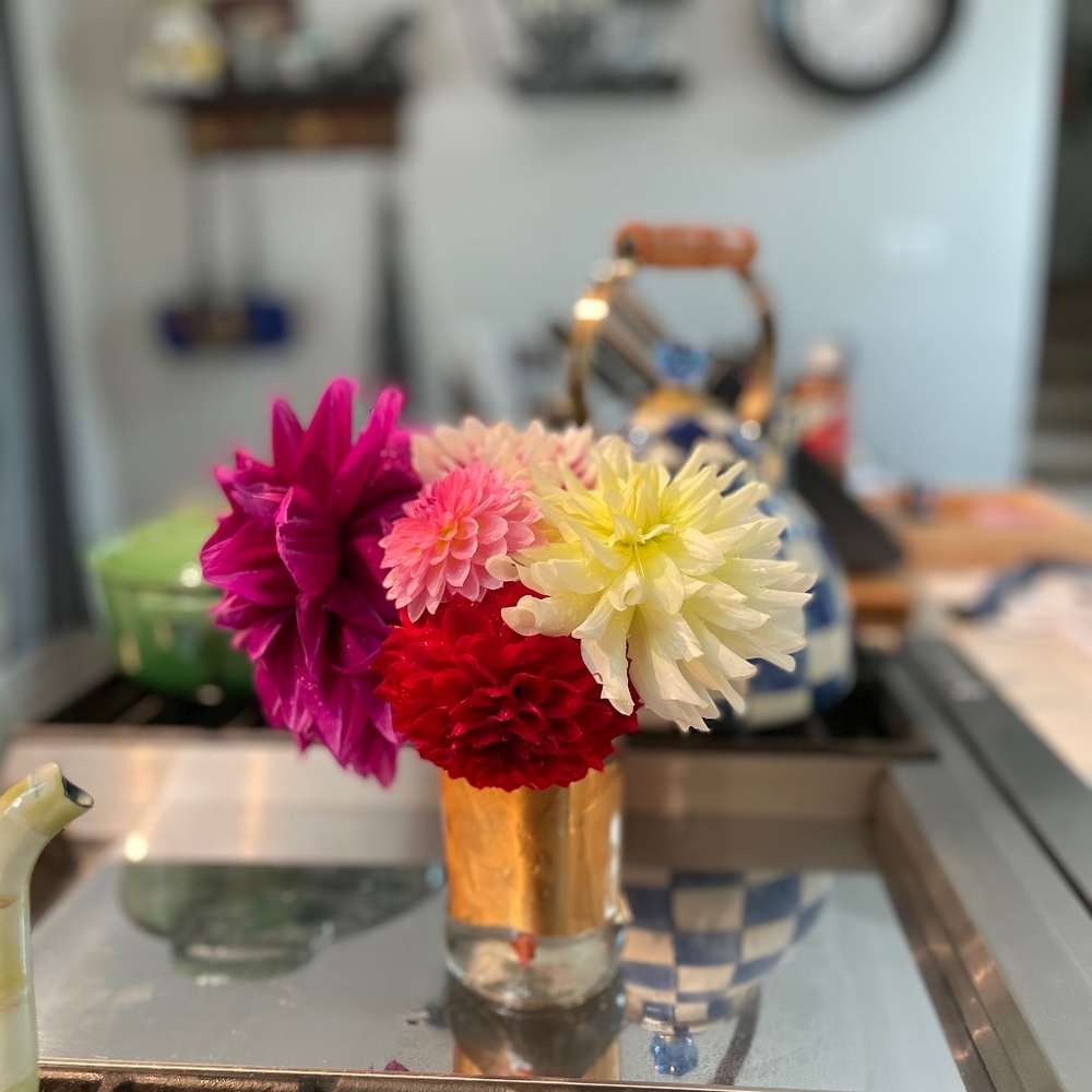 Meet your Posher, B & k